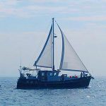 Diesel Duck 462 sailing open water